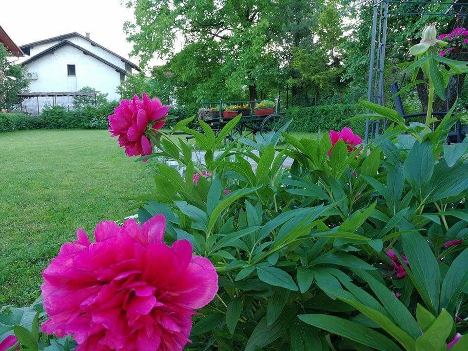 B&B Villa Una Bihać Extérieur photo